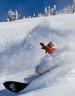 L1 Ventura Snowboard Jacket 2025 | Rock/Palace/Storm(L1 Ventura Snowboard Jacket 2025 Rockpalacestorm) 5 L1 Ventura Snowboard Jacket 2025 | Rock/Palace/Storm(L1 Ventura Snowboard Jacket 2025 Rockpalacestorm) -Twelve Board Store Untitleddesign 2025 08 14T115522.173 25347e3f 3a31 4904 8012 9fb97e285305