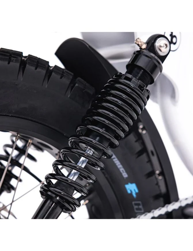 Fatboy Harlem Electric Bike | Sage Green(Fatboy harlem electric bike sage green) Fatboy Harlem Electric Bike | Sage Green(Fatboy Harlem Electric Bike Sage Green) -Twelve Board Store fatboyharlemblack4 4