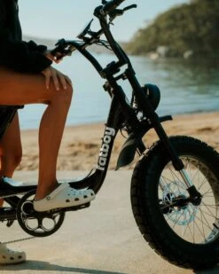 Fatboy Harlem Electric Bike | White Noise(Fatboy Harlem Electric Bike White Noise) -Twelve Board Store fatboymain 1