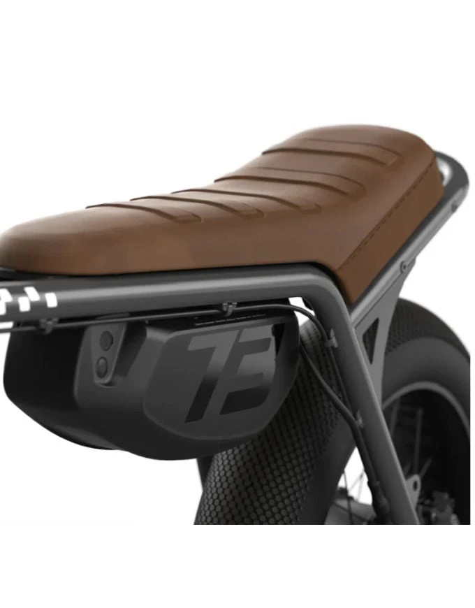 Super73 Z-Miami Special Edition Electric Bike With Throttle | Paladium(Super73 z miami electric bike with throttle paladium) Super73 Z-Miami Special Edition Electric Bike With Throttle | Paladium(Super73 Z Miami Electric Bike With Throttle Paladium) -Twelve Board Store s73miapal4