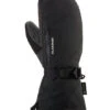 Dakine Sequoia Gore-Tex Womens Mitt 2024 | Black(Dakine Sequoia Gore Tex Womens Mitt 2024 Black) -Twelve Board Store sequoiamott