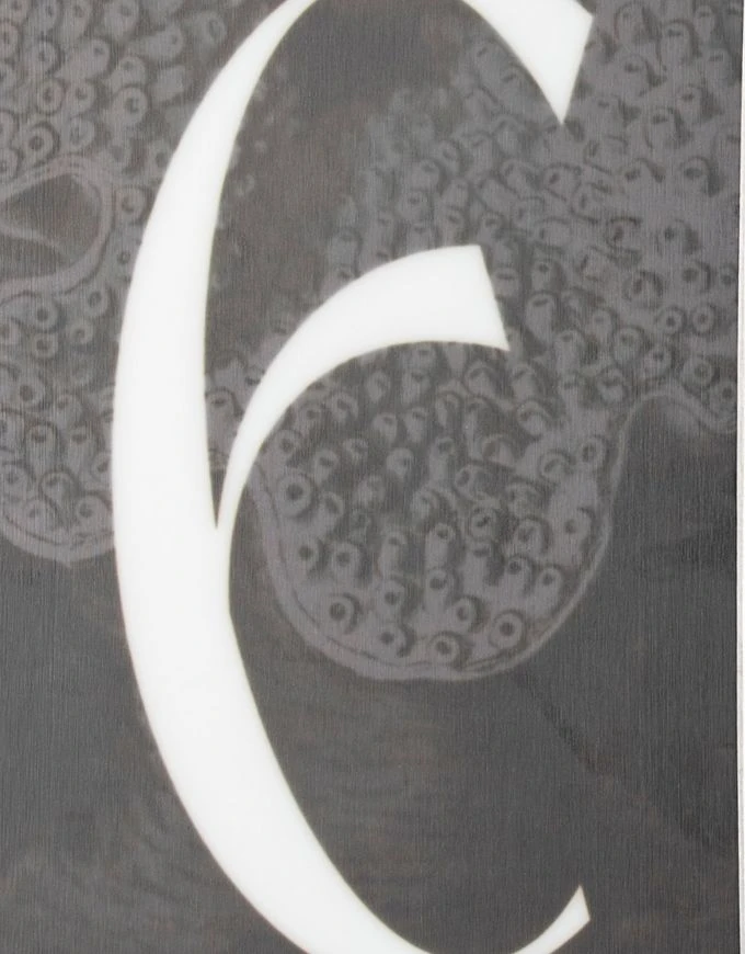 Yes Hel Yes Women's Snowboard | 2026aa(Yes hel yes womens snowboard 2026) Yes! Yes Hel Yes Women's Snowboard | 2026aa(Yes Hel Yes Womens Snowboard 2026) -Twelve Board Store yeshelweb3